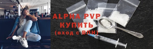 шишки Дмитров