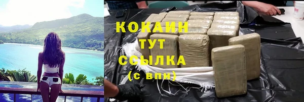 шишки Дмитров