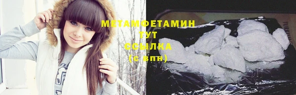 шишки Дмитров