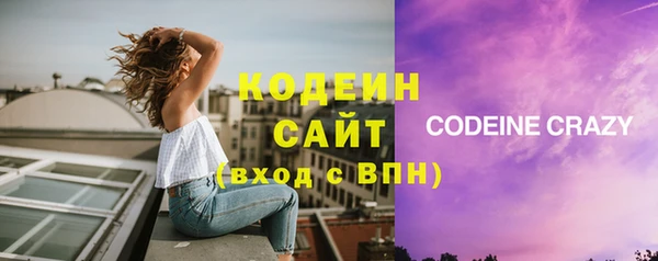 мдпв Дмитриев