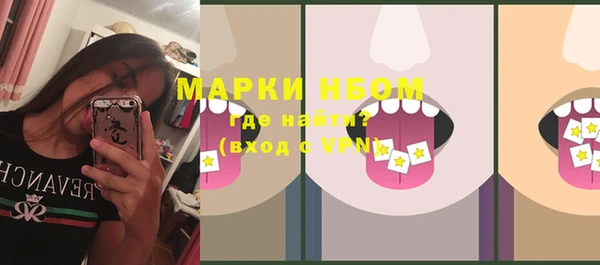 шишки Дмитров