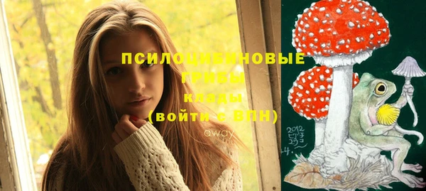 мдпв Дмитриев