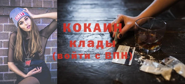 шишки Дмитров