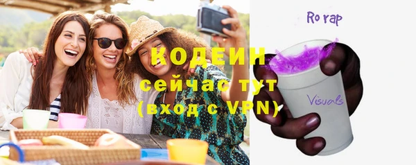 мдпв Дмитриев