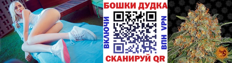 площадка официальный сайт Луза Шишки марихуана марихуана наркотики